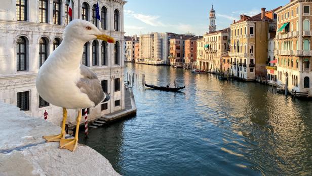 Touristen bleiben aus: Venedig und Rom schaffen Neustart nicht