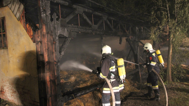 NÖ: Brandstifter in Mistelbach ausgeforscht
