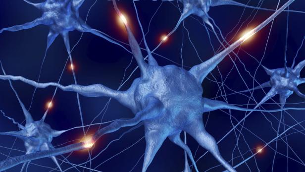 Signalübertragung zwischen Nervenzellen: Bei Multipler Sklerose ist die Übertragung verlangsamt bzw. ganz unterbrochen.