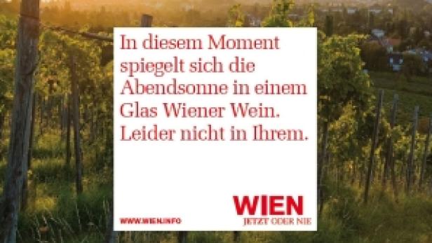 Weinberge in Wien bei Sonnenuntergang.