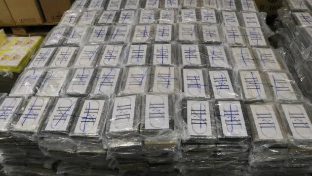1,8 Tonnen Kokain in Katzenstreu gefunden