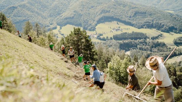 Verein "Bergwiesn": Ein Hang zum Steilhang