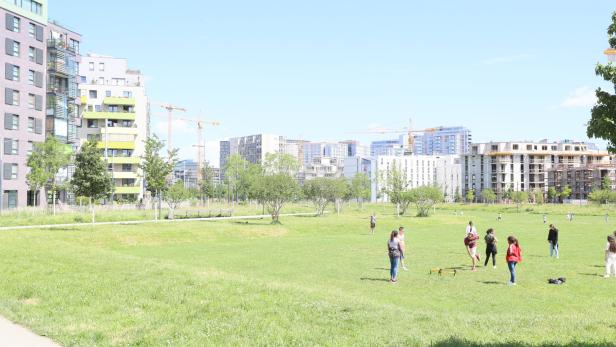 Eine Gruppe von Menschen spielt auf einer grünen Wiese in der Stadt.