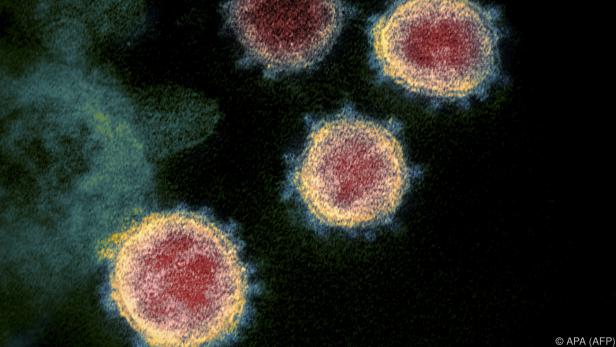 Virus infizierte vergangene Woche trotzdem 1,7 Mio. Menschen