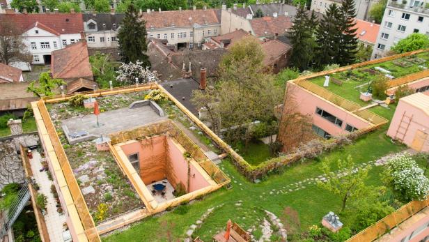 Grünere Städte: Eine Pflanzerei auf dem Dach