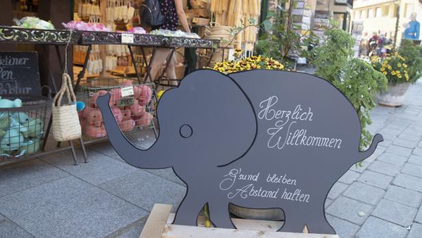 Ein Babyelefant in Oberösterreich