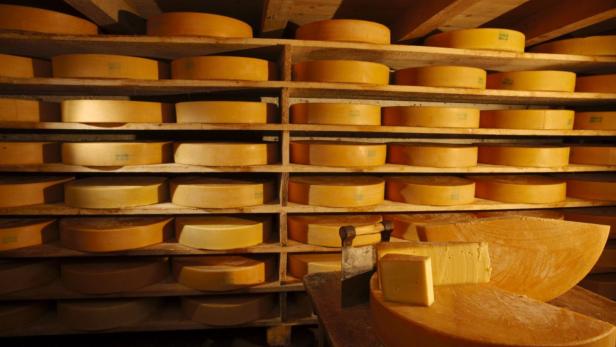 Fein geschnitten: Hier gibt es den besten Käse in Wien