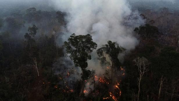 Brasilien: Ministerium kann Kampf gegen Amazonas-Abholzung fortsetzen