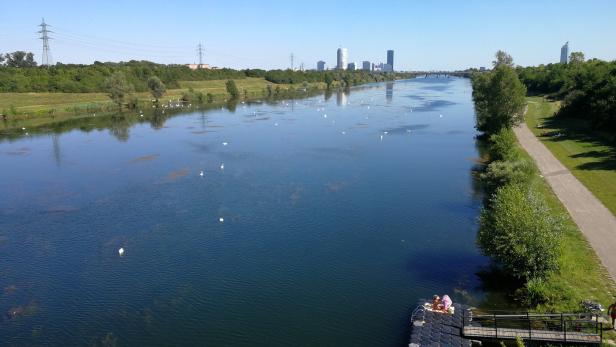 Stundenlange Suchaktion in Wien: Mann ertrank in der Neuen Donau