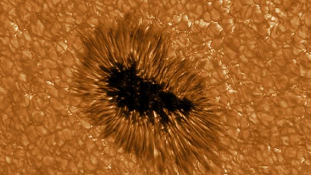 Neue Bilder der Sonne: Teleskop Gregor macht extra-scharfe Fotos