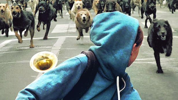 Filmseite: Underdog…