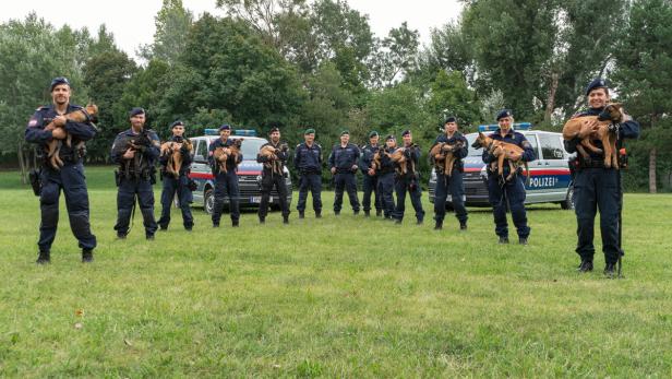 Ausbildungsbeginn: Welpenübergabe an neue Polizeidiensthundeführer