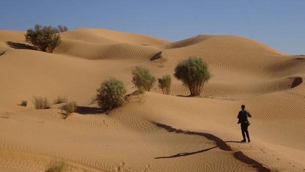 Der Sand und die Stille: Über den Reiz der tunesischen Sahara