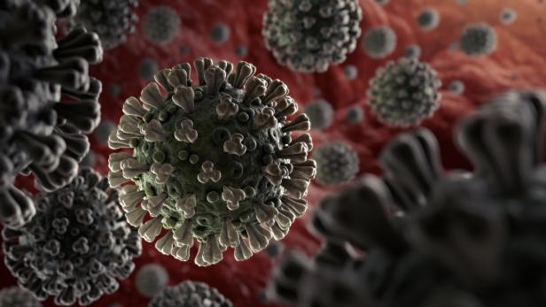 Wie das Coronavirus eine infizierte Zelle überlistet