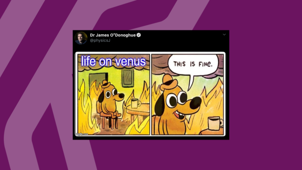 Hinweise auf Leben auf der Venus: Das sind die besten Alien-Memes