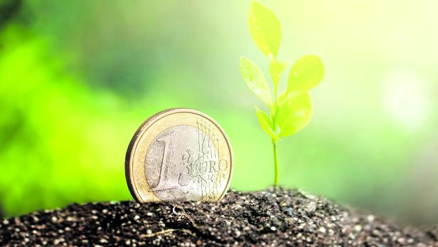 Coin with plant growing on top for business, saving, growth, economic concept