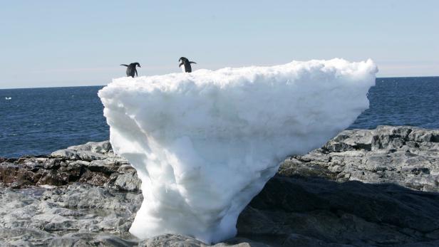 Die Eisschmelze in der Antarktis ist unbestritten.