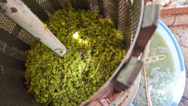 Forscher graben eisenzeitliche Weinpresse aus