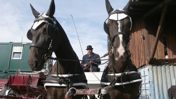 Langes Warten auf Kundschaft: 21 Fiakerunternehmer mit insgesamt 300 Pferden gibt es in Wien.