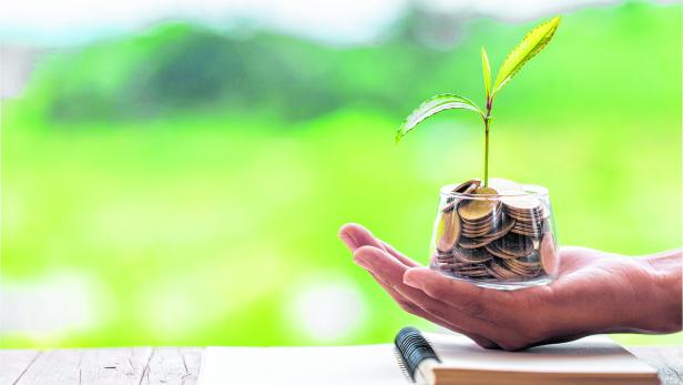 Hand with tree growing from pile of coins, concept for business, innovation, growth and money
