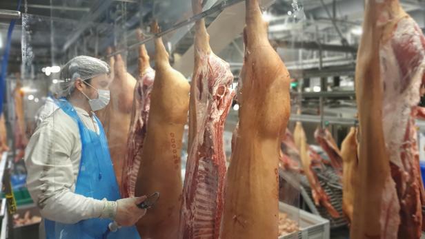 Toennies meat factory resumes production