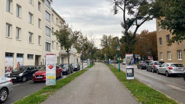 Autofreies St. Pölten – für die Grünen bis 2030 vorstellbar
