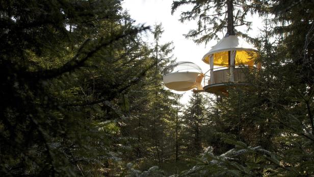 Zwei Baumhaushotel-Suiten hängen zwischen den Bäumen.