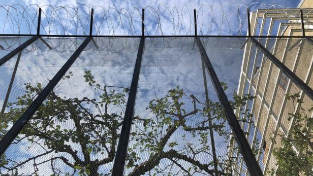 Erschreckende Machtdemonstration: Der EU-Grenzzaun, von Catrin Bolt in der Zwerggasse errichtet, schützt die Obstbäume