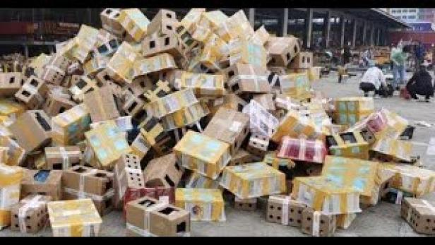 China: 4.000 tote Haustiere in Boxen aufgefunden