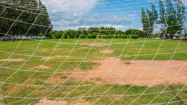 Soccer or Football and net ,green field in the Background