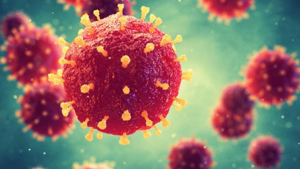 Coronavirus: 16 Infizierte in Wiener Neustädter Firma