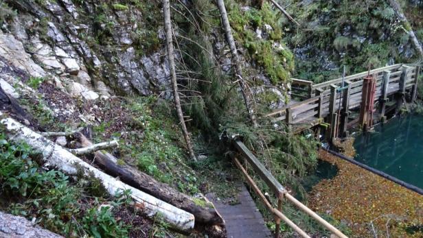 Unfallstelle im Mendlingtal: Opfer auf Treppelsteig konnten herabstürzendem Baum nicht ausweichen