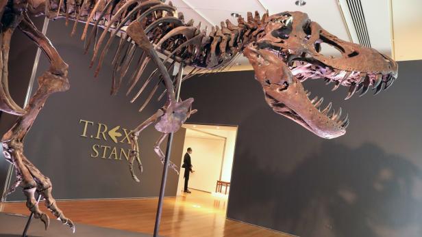 Dino-Skelett auf Kunstauktion verkauft - um 26 Millionen Euro