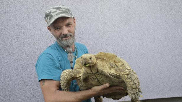 NÖ: Eine Stimme für die Schildkröten