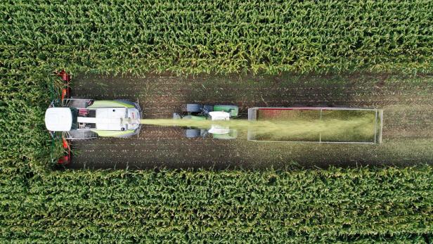 EU-Agrarreform: Europas Landwirtschaft soll grüner werden