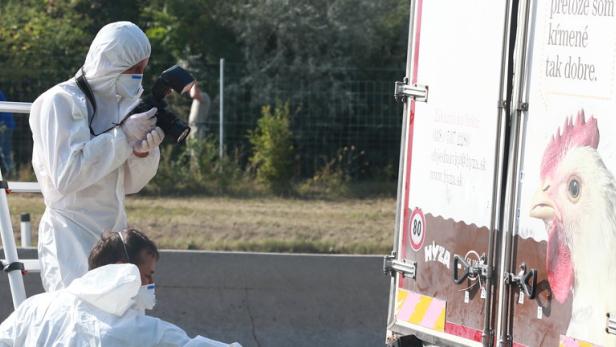Burgenland: Mehr als 70 Tote aus Lkw geborgen
