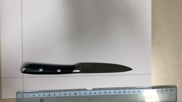 54-Jähriger bedroht ÖBB-Security mit Messer
