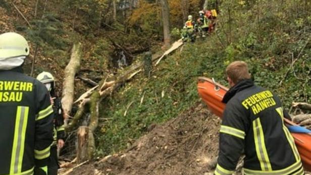 Schwer verletzt: 29-Jähriger in Ramsau von Baum getroffen