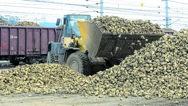 Agrana-Zuckerfabrik dürfte durch Nothilfen für Rübenbauern gerettet sein