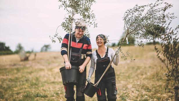 Gemeinsame Liebe: Franz Günther und Sabine Haiden aus Ulmerfeld haben in Mörbisch einen Olivenhain mit über 500 Bäumen gepflanzt
