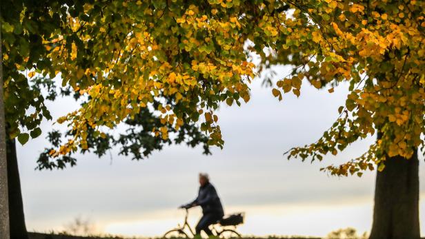 Zehn technische Finessen für Herbstradler