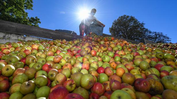 Apfel essen und damit das Klima schonen
