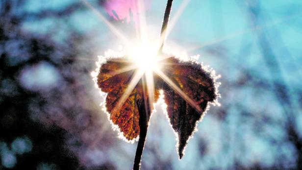 Sonnenschein und Frost Sonnenschein und Frost