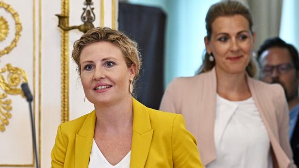Grüne sind gegen Statistik zu Abtreibungen, ÖVP-Ministerinnen dafür