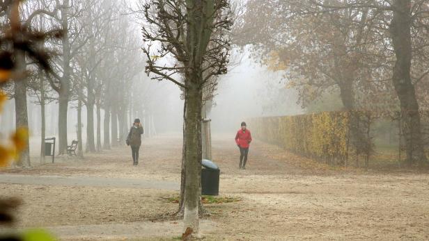 Warum es immer weniger Nebel in Wien gibt