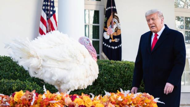Thanksgiving: Trump in Begnadigungslaune, ihm selbst droht Ungemach