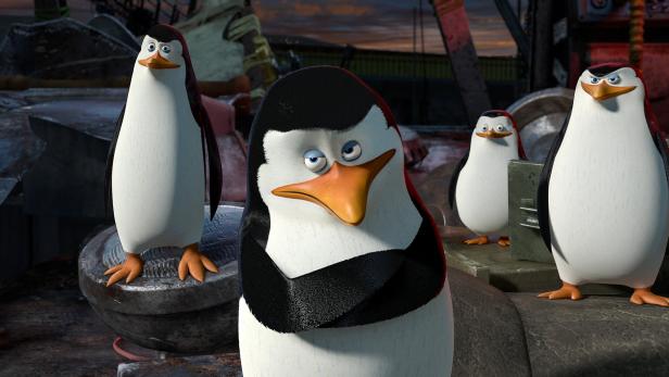 Londoner Pinguine schauen im Lockdown Weihnachtsfilme