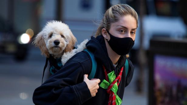 A woman wears a protective face mask while carrying her dog as the global outbreak of the coronavirus disease (COVID-19) continues, in New York City, New York
