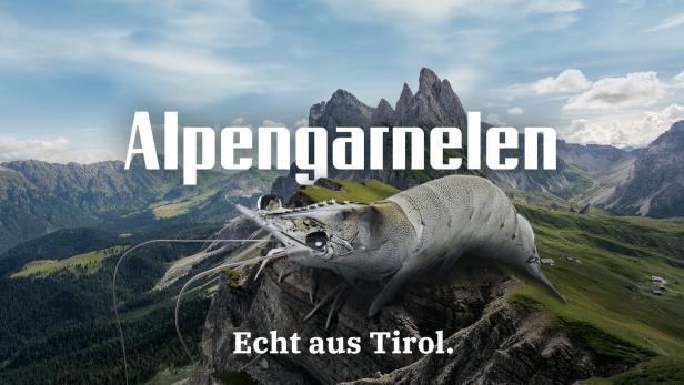 Fangfrische Alpengarnelen für die Weihnachtszeit hier bestellen!