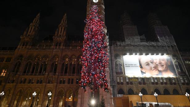 Wien darf sich über den größten Christbaum freuen